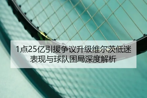 1点25亿引援争议升级维尔茨低迷表现与球队困局深度解析（MangosSports）